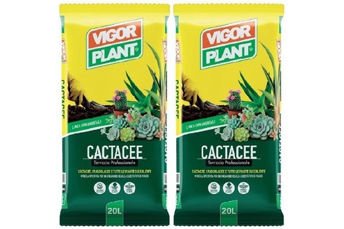 Terriccio per piante - , cactacee